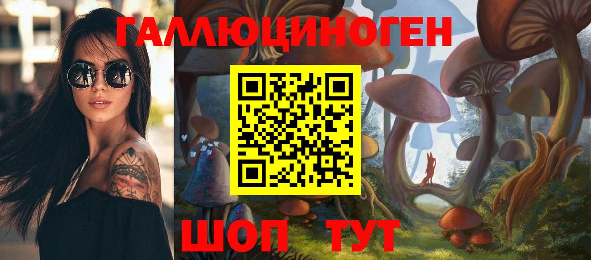 Новосибирск  Галлюциногенные грибы ЛСД  Вход с VPN 